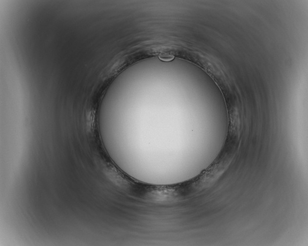 X0000116330278200912091045