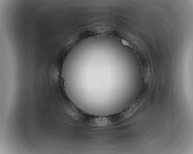 X0000116330279200912091045