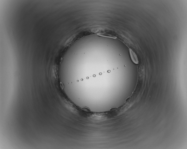 X0000116330280200912091045
