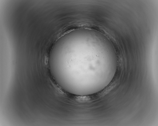 X0000116330281200912091045