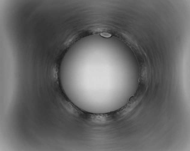 X0000116330282200912091045