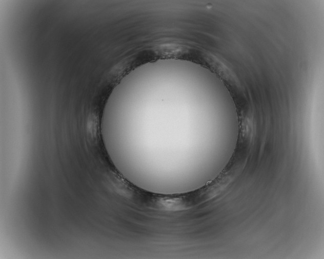X0000116330283200912091045