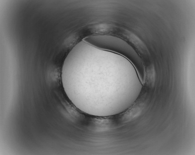 X0000116330284200912091045