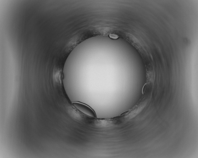 X0000116330286200912091045