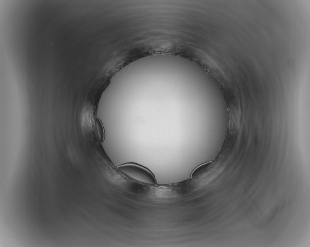 X0000116330287200912091045