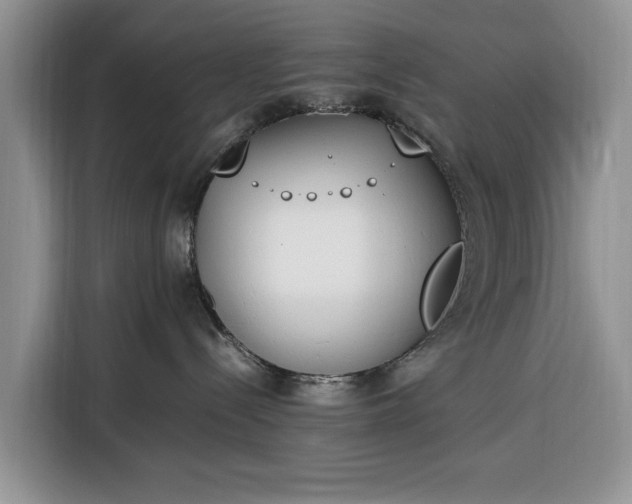 X0000116330288200912091045