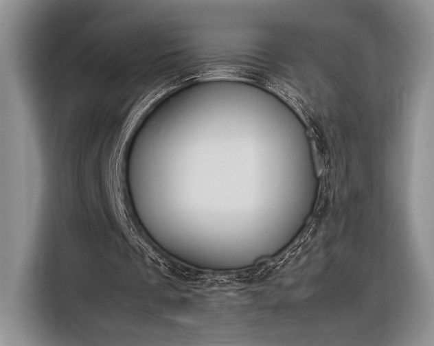 X0000116330289200912091045