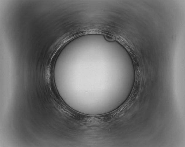X0000116330290200912091045