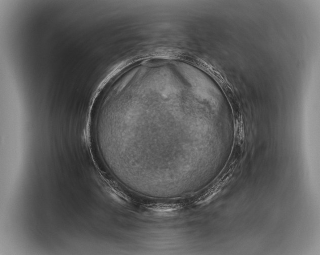 X0000116330292200912091045