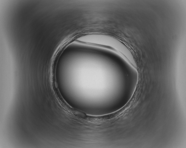 X0000116330293200912091045