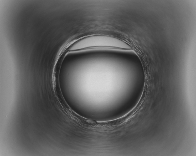 X0000116330294200912091045