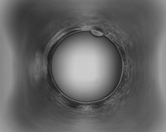 X0000116330295200912091045