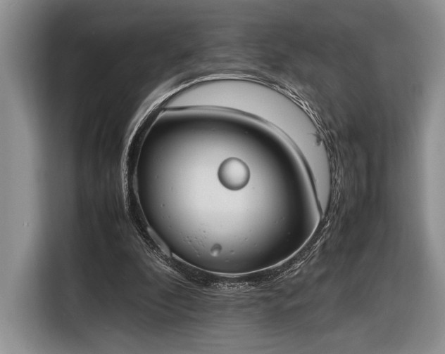 X0000116330296200912091045