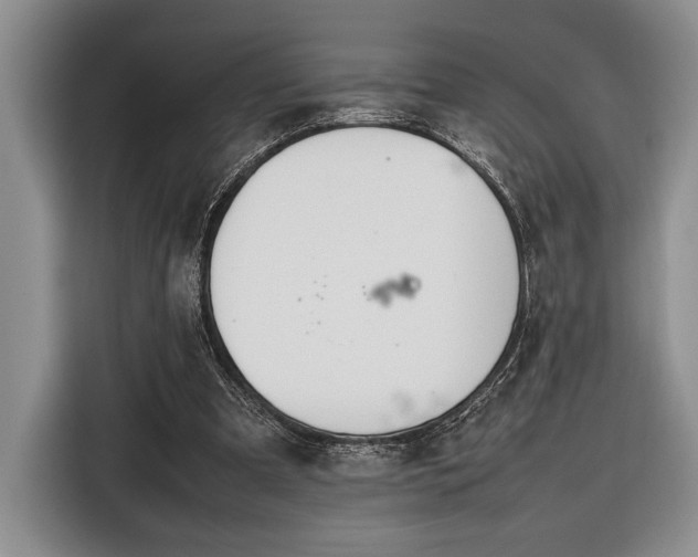 X0000116330297200912091045