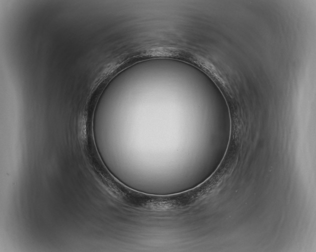 X0000116330299200912091044
