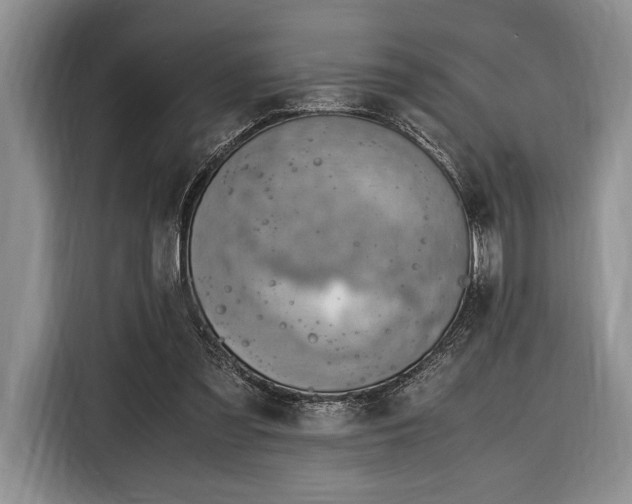 X0000116330301200912091044