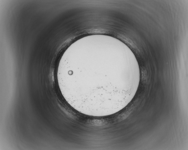 X0000116330302200912091044