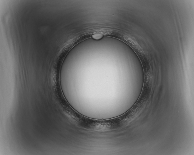 X0000116330303200912091044