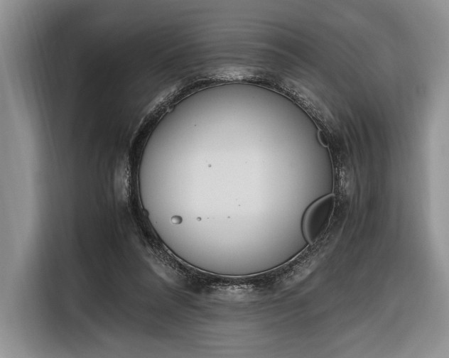 X0000116330304200912091044
