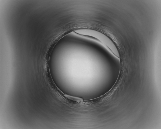 X0000116330305200912091044