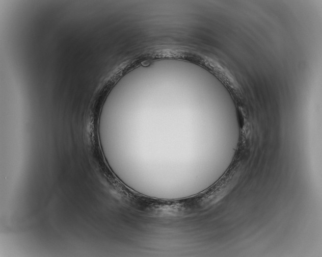 X0000116330306200912091044