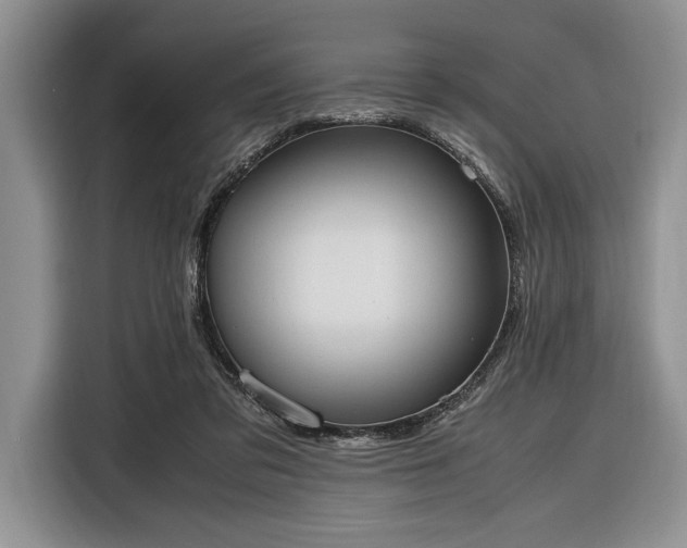 X0000116330309200912091044