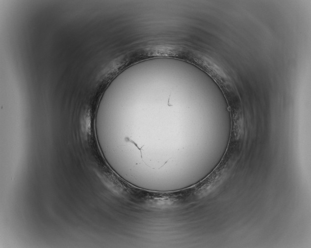 X0000116330310200912091044