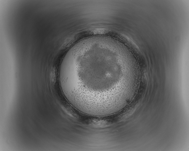 X0000116330311200912091044