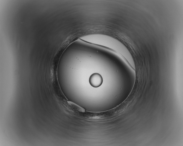 X0000116330312200912091044