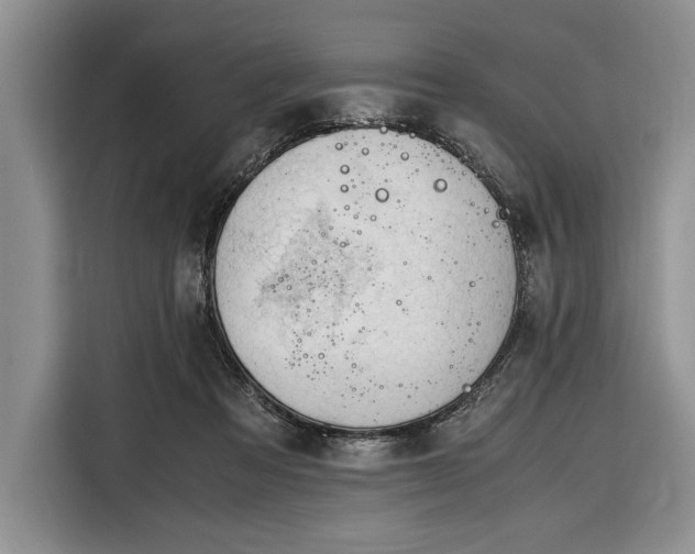 X0000116330313200912091044