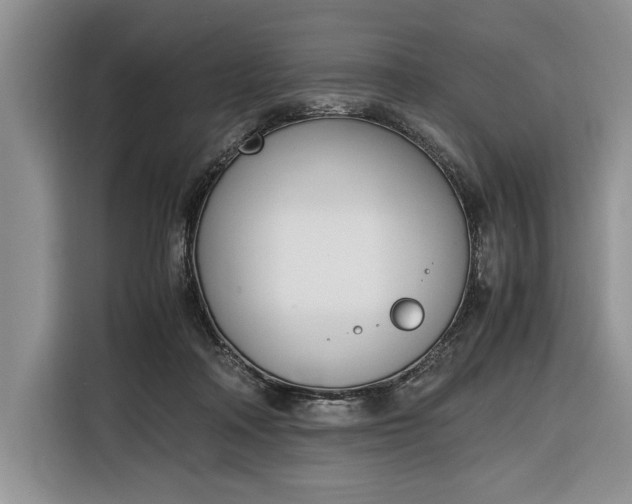 X0000116330314200912091044