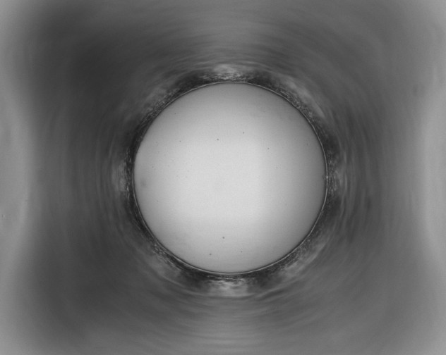 X0000116330317200912091044