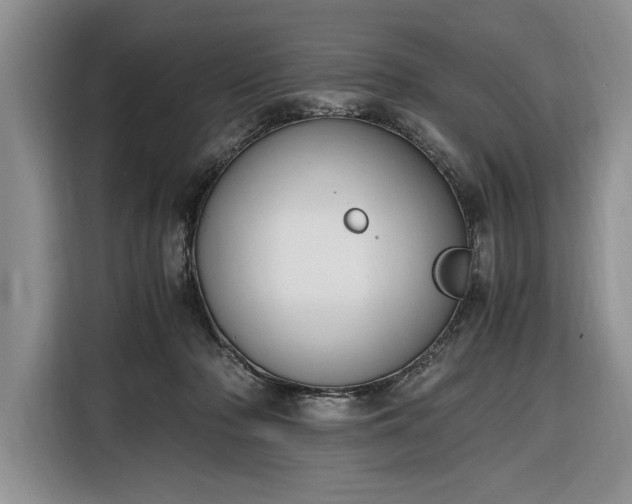 X0000116330318200912091044