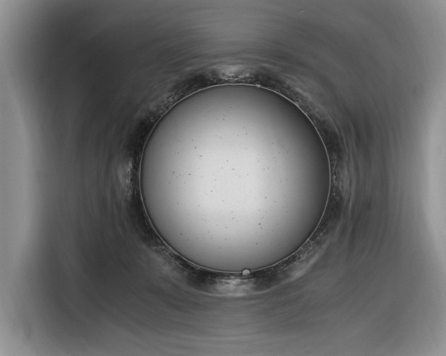 X0000116330319200912091044