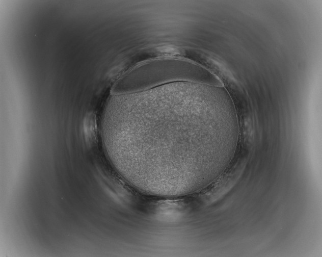 X0000116330320200912091044