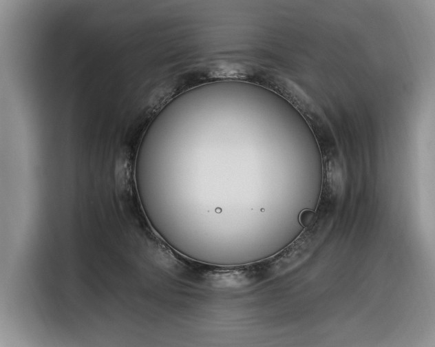 X0000116330322200912091044