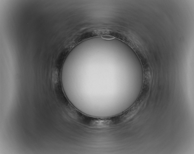 X0000116330323200912091044