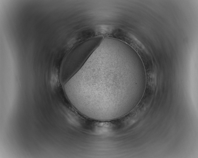X0000116330324200912091044
