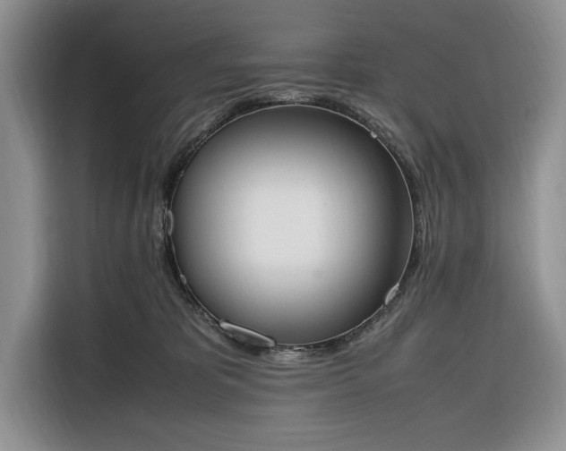 X0000116330325200912091044