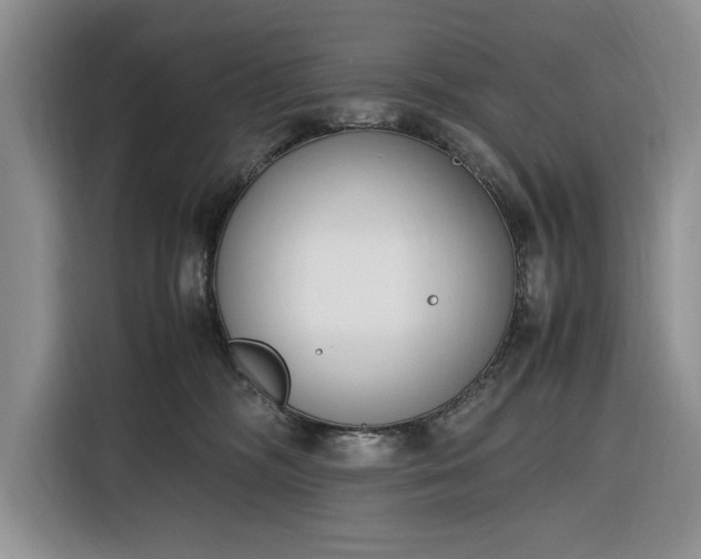 X0000116330326200912091044