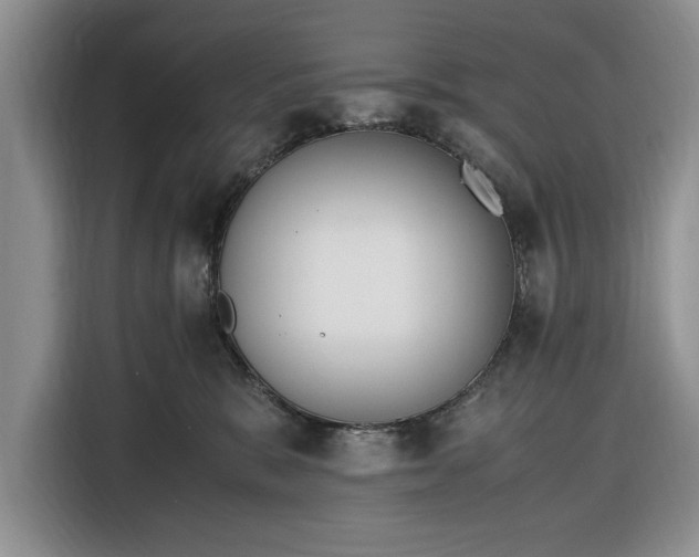 X0000116330327200912091044