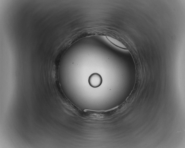 X0000116330328200912091044