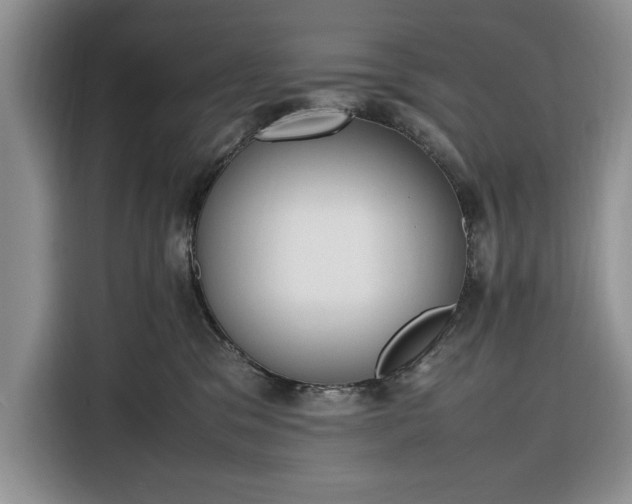 X0000116330329200912091044