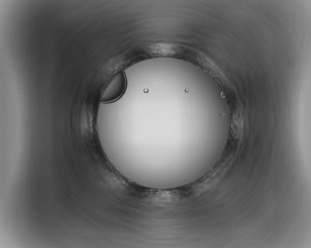 X0000116330330200912091044