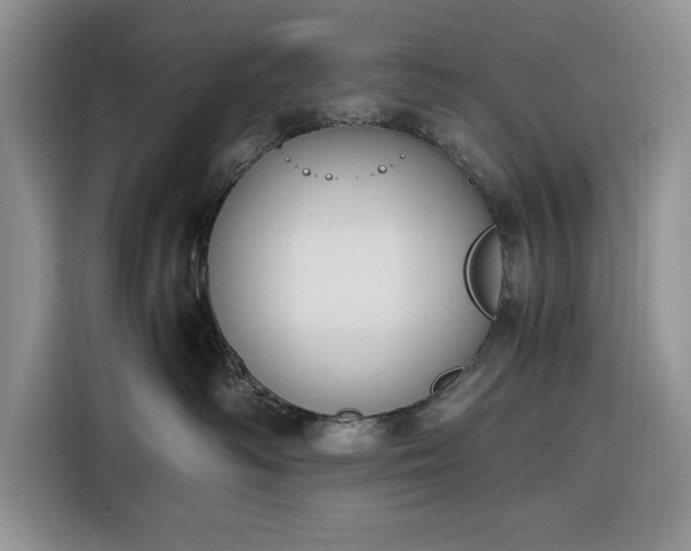 X0000116330334200912091044