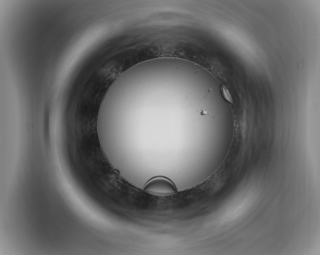 X0000116330335200912091044