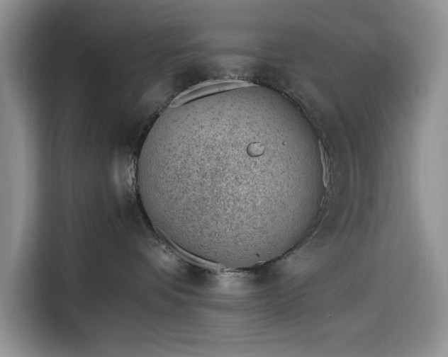 X0000116330336200912091044