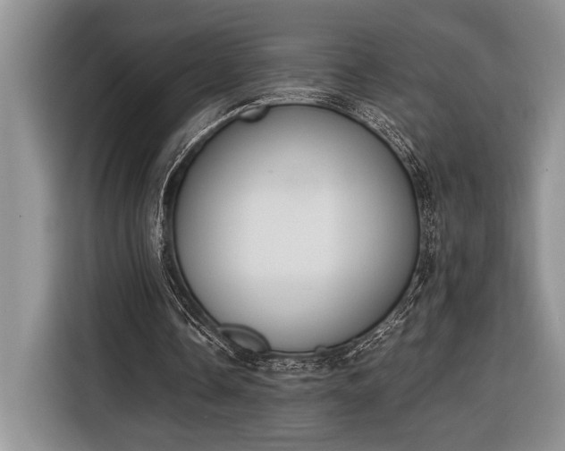X0000116330338200912091043