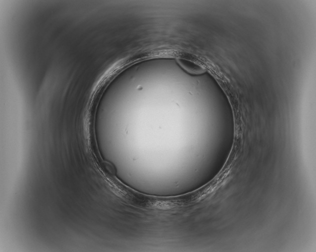 X0000116330341200912091043