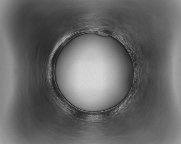 X0000116330342200912091043